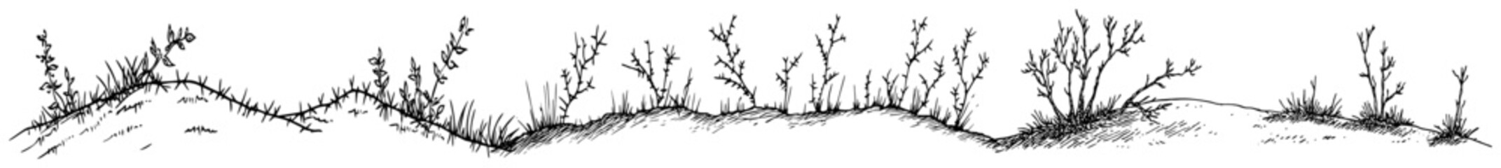 Low hills and thorny bushes landscape element in vintage woodcut engraving style © Kaz