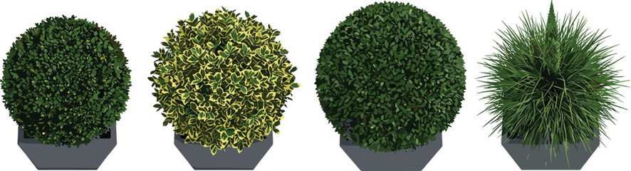 Realistic Potted Plant Vector Set with Decorative Greenery and Bushes for Garden, Landscape, and Digital Media Designs © Sultana