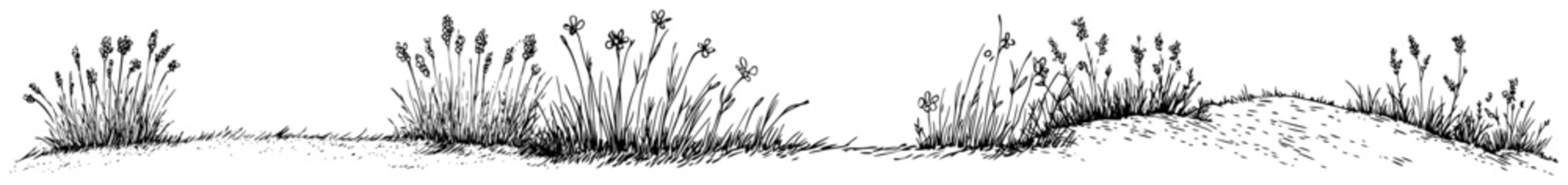 Grassy field with wild flowers and mounds in vintage engraving style © Kaz