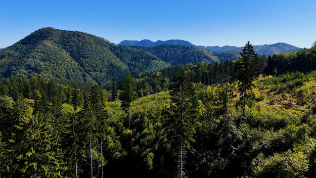 Aerial view of lush green forest with mountains creating a serene nature setting, Sitka, Alaska, USA.