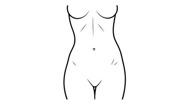 2D CAD illustration of a woman's torso with abs and curves