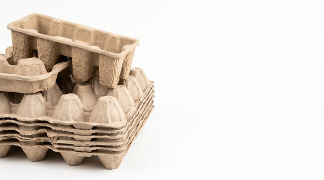 Biodegradable molded pulp paper egg trays and eco-friendly packaging inserts on the left of a white background with wide copy space