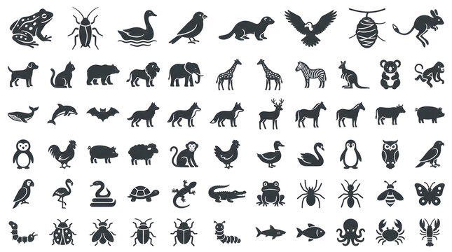 Comprehensive vector set featuring diverse animal silhouettes, insect icons, and marine creature glyphs, ideal for nature-themed graphic design and educational resources