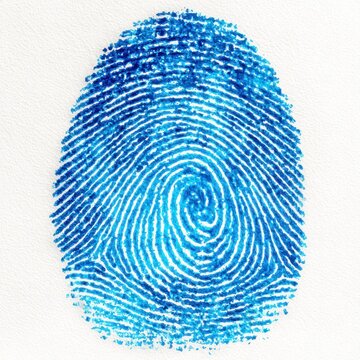 Blue Fingerprint on White Background.