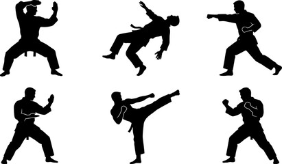 Martial arts silhouettes set featuring karate fighters in action poses, kicking, punching, defense techniques and dynamic combat training movements © Jahanara