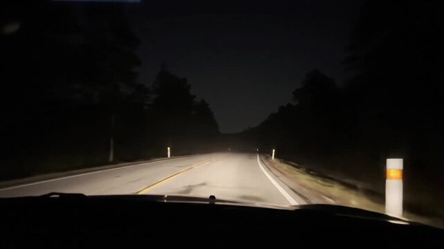 Road Driving at Night in Misty Rural Roadway