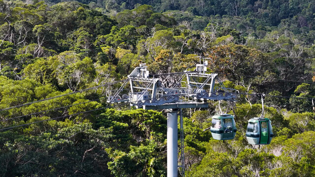 Aerial View of Cable Cars Gliding Over a Lush Tropical Rainforest Canopy