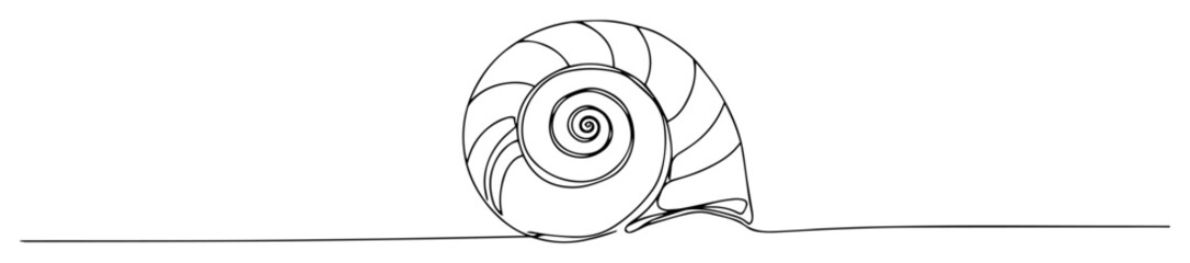 spiral seashell line art illustration © Wieslaw