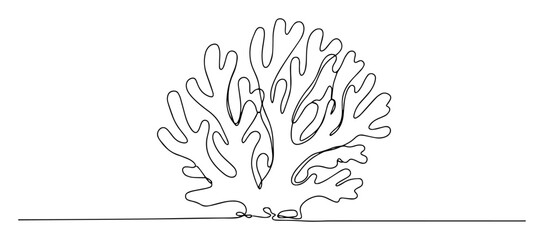 coral outline line drawing © Wieslaw
