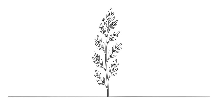 wormwood plant line art illustration