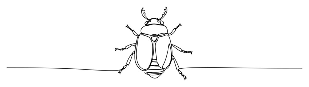 beetle top view line art illustration