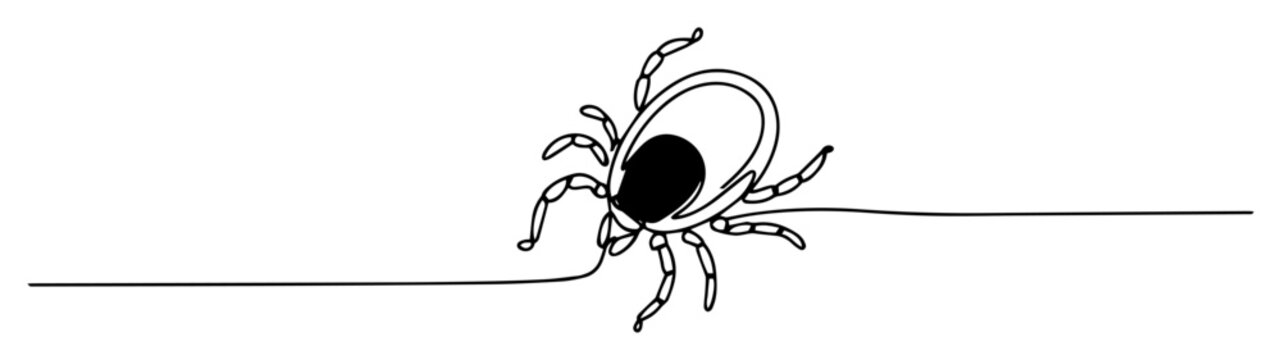 tick line art drawing