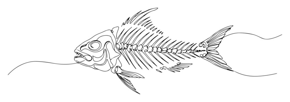 fish skeleton monoline vector