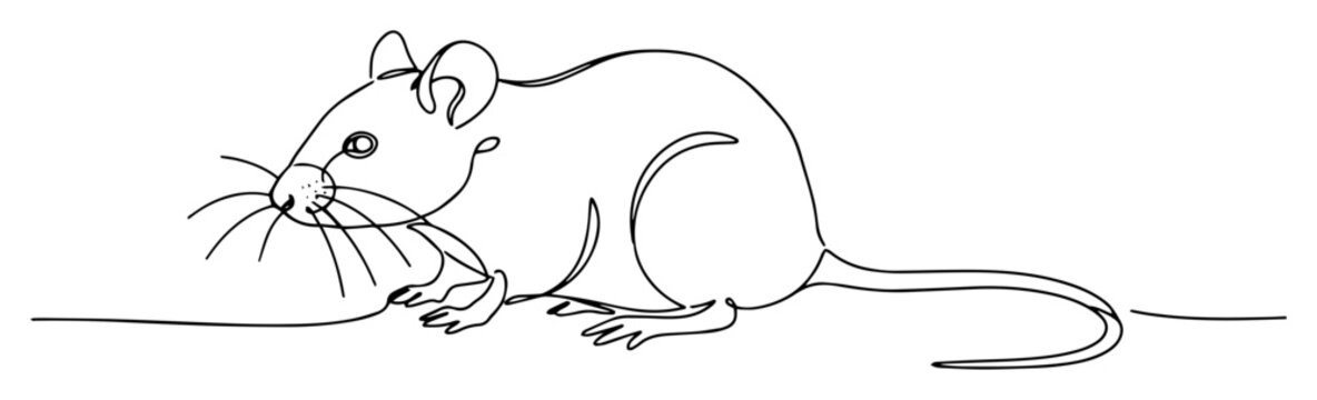 mouse rodent oneline vector