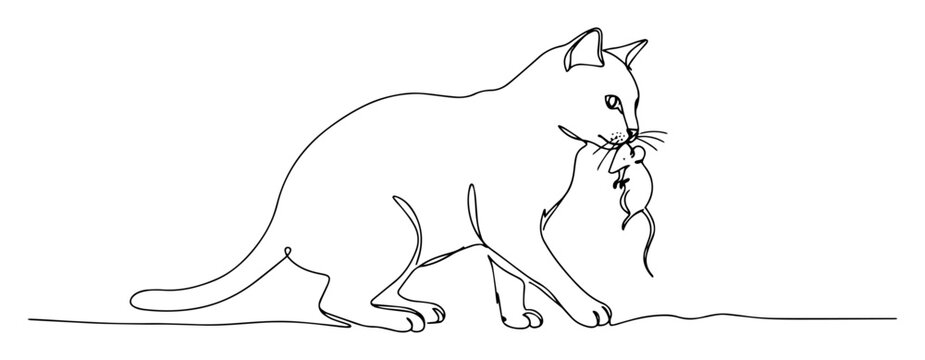 cat with mouse oneline vector