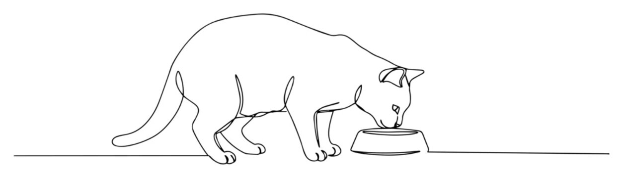 cat eating from bowl oneline vector