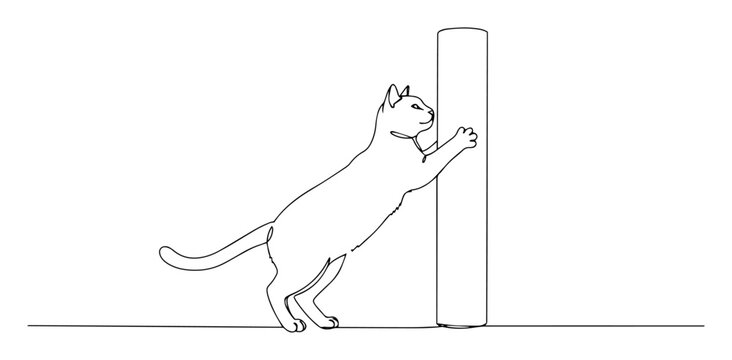 cat scratching post front view oneline vector