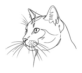 cat head profile thin vector line © Wieslaw