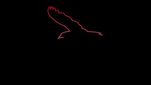 Minimalist red line art animation of eagle flying in sky isolated on black background cinematic motion graphic loop for creative branding and artistic video projects visual effects.