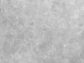 Soft white down feathers texture, fluffy bird plumage background, ethereal light grey downy material for bedding and winter fashion concepts © JULEKA 