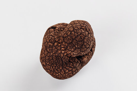 Whole black winter truffle isolated on a white background. Gourmet culinary ingredient.