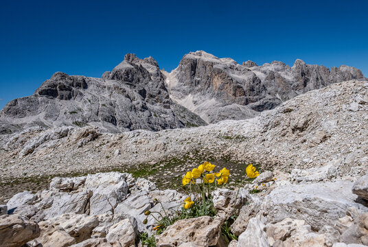 Trentino, altopiano della Rosetta