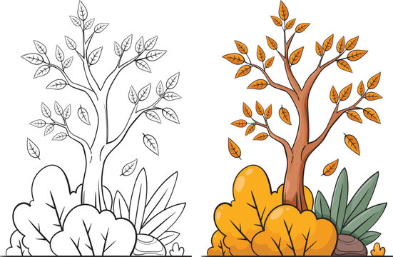 Autumn Tree and Bush Illustration Set