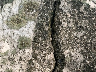 Fototapeta premium Close‑up of cracked concrete surface with exposed aggregate and patches of moss from prolonged moisture exposure
