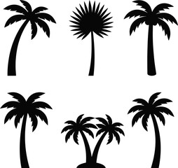 Fototapeta premium Six black palm tree silhouettes of various styles are standing on white background.