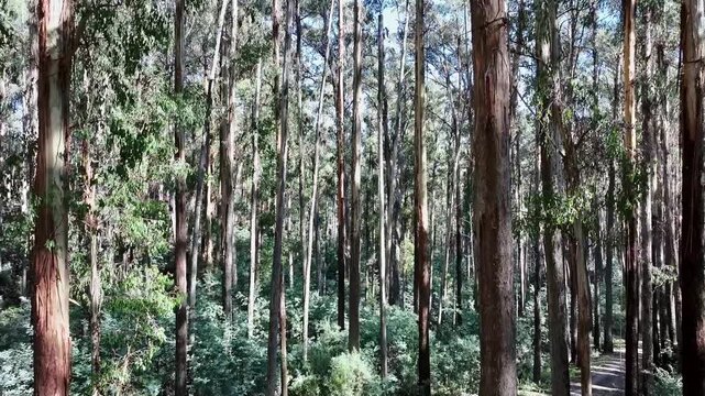 Cinematic 4K aerial footage of Rubicon Victoria Australia