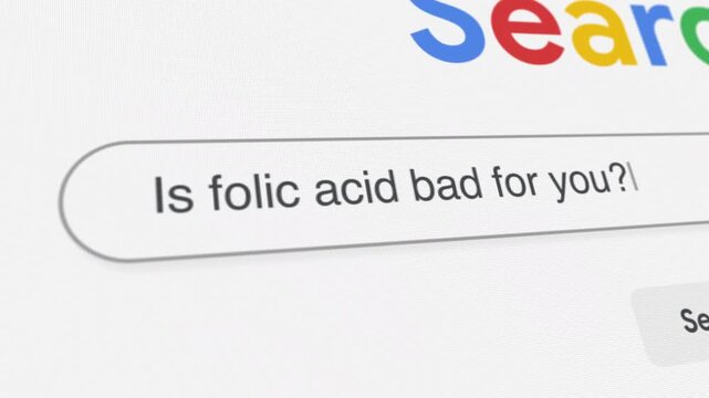 Is folic acid bad for you Search Prompt