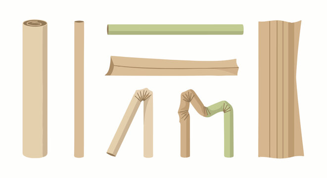 Various biodegradable paper and plant-based straws and rolls