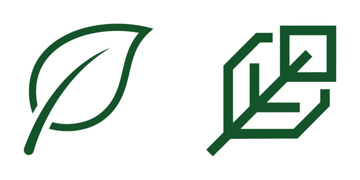 Basil leaf icon vector isolated illustration design