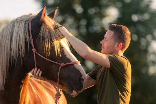 Man caring for horse during hippotherapy session on sunny day. Animal assisted therapy, rehabilitation, outdoor activity and healthcare concept.