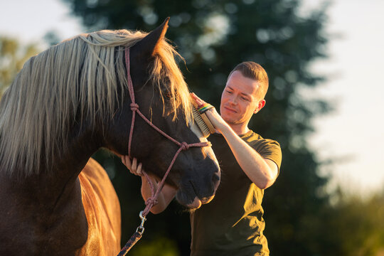 Man caring for horse during hippotherapy session on sunny day. Animal assisted therapy, rehabilitation, outdoor activity and healthcare concept.