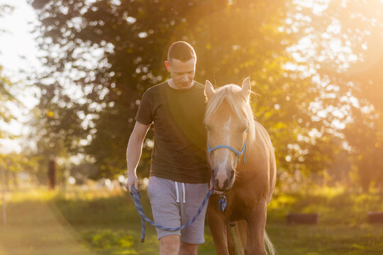Man leading horse on meadow during hippotherapy session on sunny day. Animal assisted therapy, rehabilitation, outdoor activity and healthcare concept.