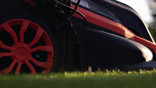 Gardener cutting green grass with lawn mower at sunset. Close up.