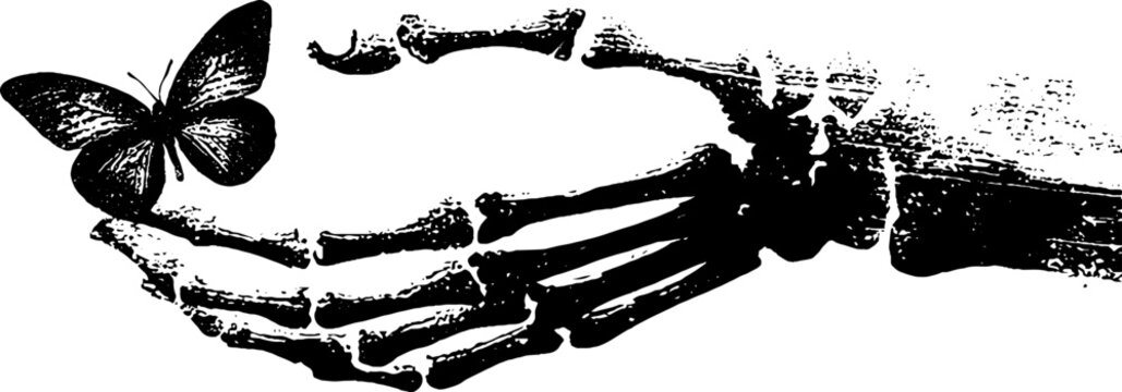 Butterfly perched on skeleton hand high contrast black and white ink illustration for gothic poster design