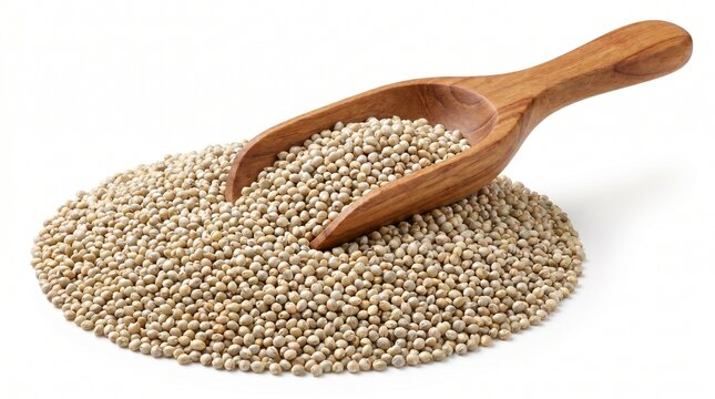 pearl millet grains with wooden scoop isolated on white background for healthy cereal nutrition and food ingredient concept