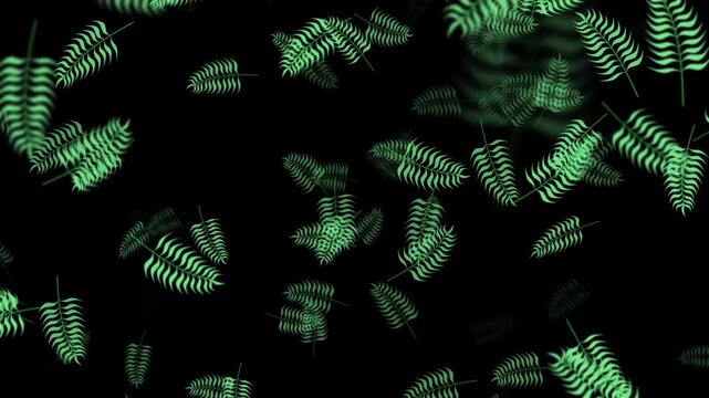 Colorful summer background with tropical leaves. Hello Summer concept design. Botanical jungle leaves and floral frame for summer sale animation. Modern trendy minimal design. 2d animation style