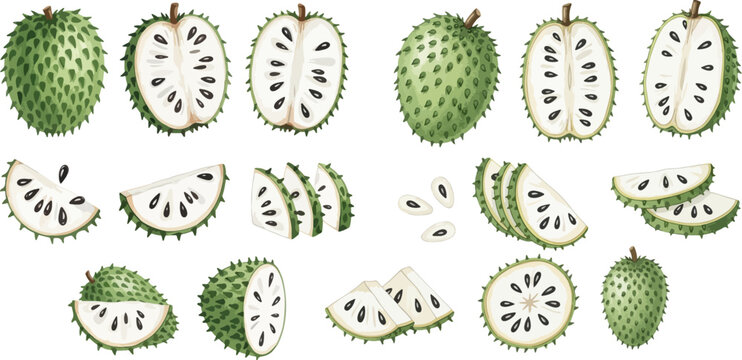 Set of fresh soursop fruit whole, sliced, and cut in half, showcasing its unique texture and seeds.