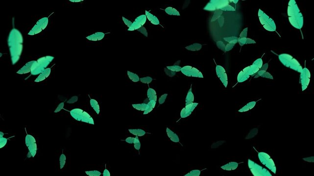 Colorful summer background with tropical leaves. Hello Summer concept design. Botanical jungle leaves and floral frame for summer sale animation. Modern trendy minimal design. 2d animation style