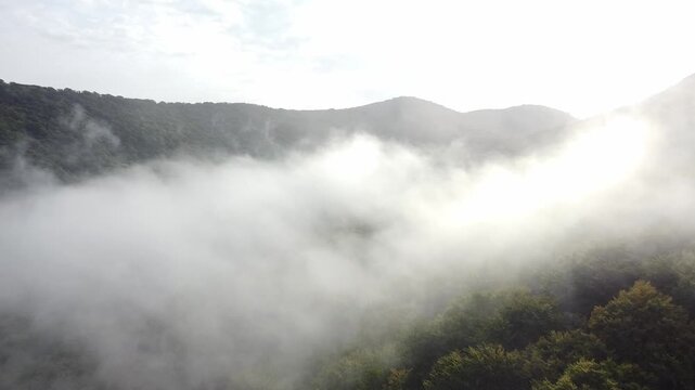 Aerial view of thick fog rolling over green mountain forest with bright sunlight piercing through the mist.