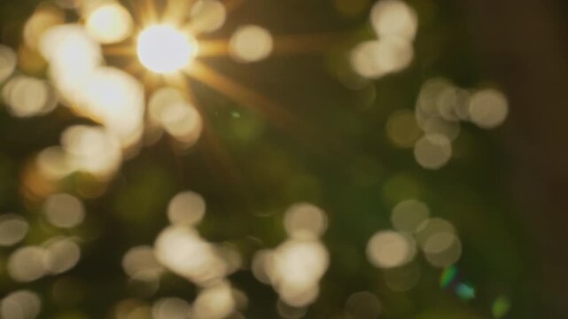 Extreme close up zoom in on starburst center with cinematic flares during summer golden hour, abstract diffused light background with inspiring serene feeling
