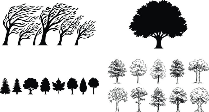 Decorative Tree Silhouette Collection Featuring Windblown Forest and Hand Drawn Trees Vector Icons for Nature Designs