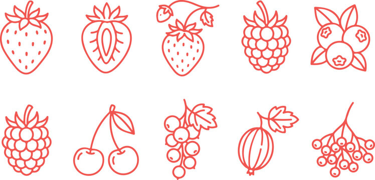 Collection of colorful berries and fruits line art vector.
