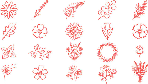 Decorative Lines Transparent Background Images – Browse 211,275 Stock ...