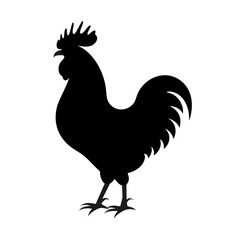 rooster vector illustration © Zain
