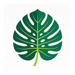 Large green tropical leaf closeup. © Yupi