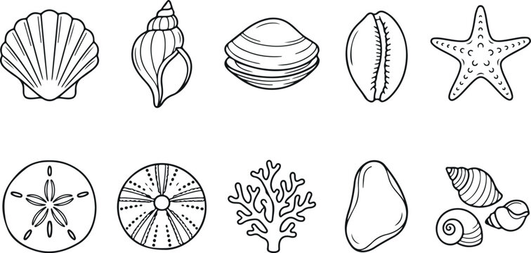 Collection of hand drawn shell outlines for beach decoration and seaside elements.